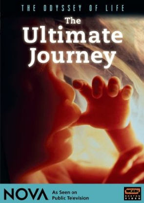 Odyssey of Life: The Ultimate Journey - NOVA