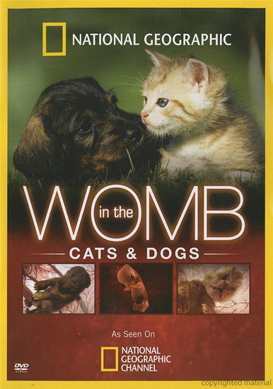 In the womb: Cats and dogs - NATIONAL GEOGRAPHIC