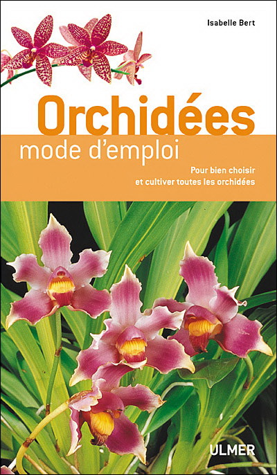 Orchidées N. éd. - ISABELLE BERT