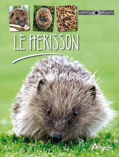Le Hérisson - CORINNE CHESNE