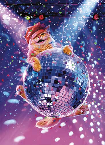 Chat sur boule disco Et c'est le party