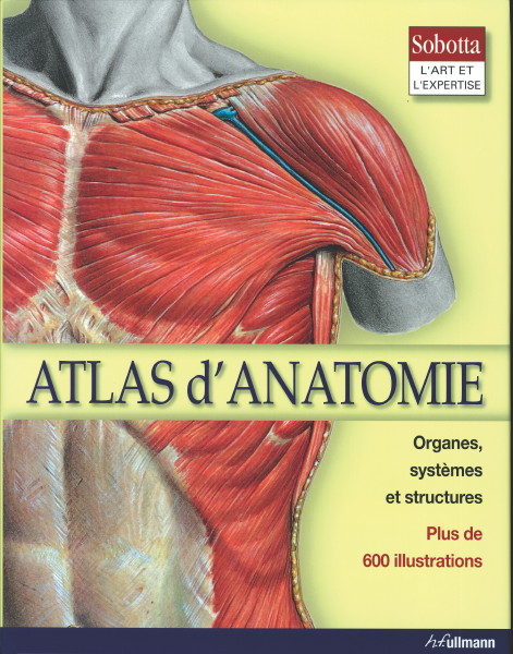 Atlas d&#39;anatomie - COLLECTIF