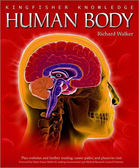 Human body - RICHARD WALKER