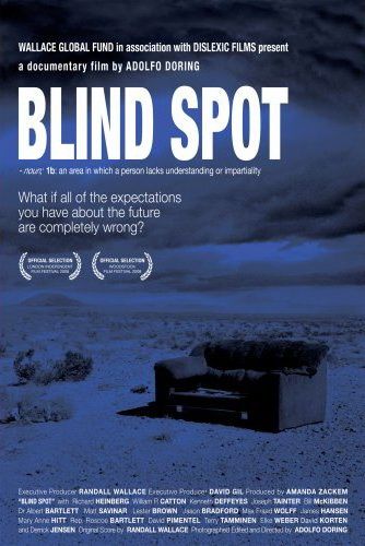 Blind spot (2008) - DORING ADOLFO