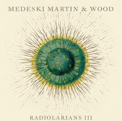 Radiolarians III - MEDESKI MARTIN & WOOD