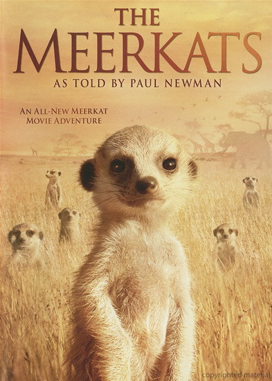 The Meerkats - HONEYBORNE JAMES