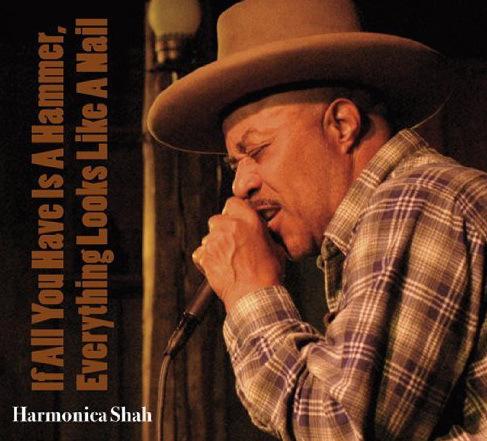If all you have is a hammer - HARMONICA SHAH