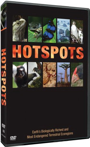 Hotspots - TOBIAS MICHAEL