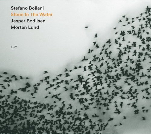 Stone in the water - STEFANO BOLLANI TRIO