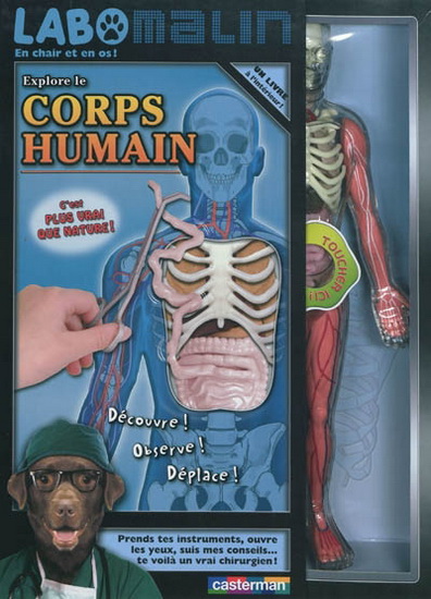 Explore le corps humain - LUCILLE M KAYES