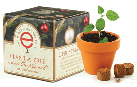 Arbre miniature Sapin de Noël - VI