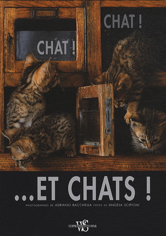 Chat! chat! et chats! - ANGELA SCIPIONI