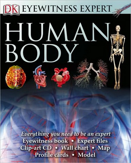 Human body - COLLECTIF
