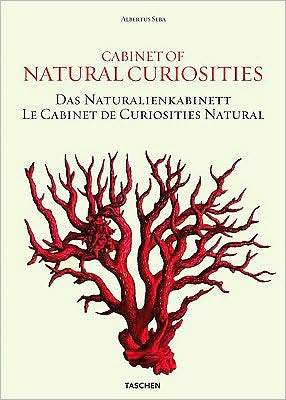 Le Cabinet de curiosités naturelles - COLLECTIF
