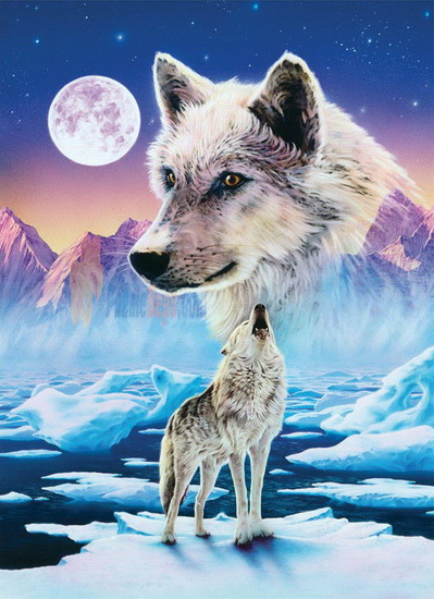 I Color Starline Loup Arctique 1000 Mcx Games Toys Renaud Bray I Color Starline Loup Arctique 1000 Mcx Games Toys Renaud Bray