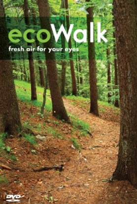 EcoWalk: The ultimate walking experience - 