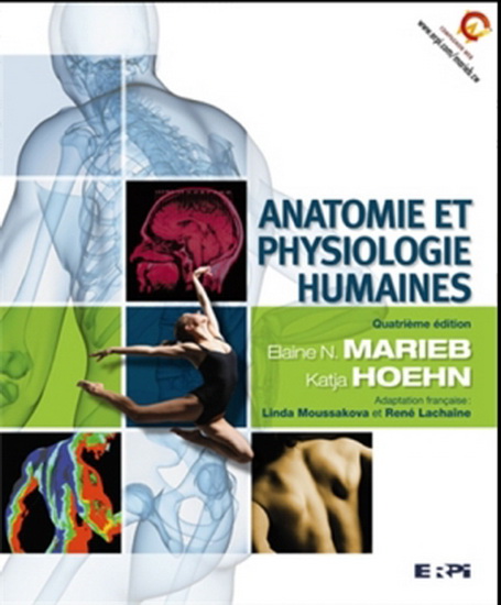 Anatomie-Physiologie - Hypotenuse Institut
