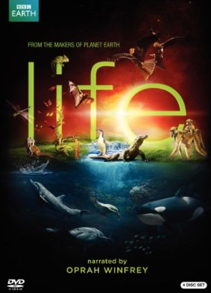 Life - BBC EARTH