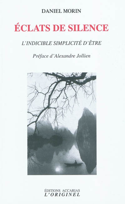Eclats de silence - DANIEL MORIN