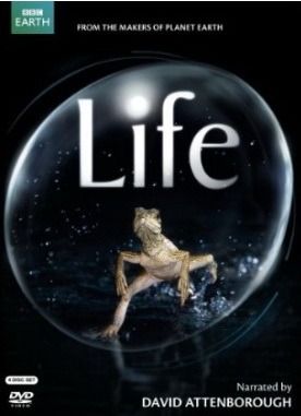 Life (BBC Earth) - 