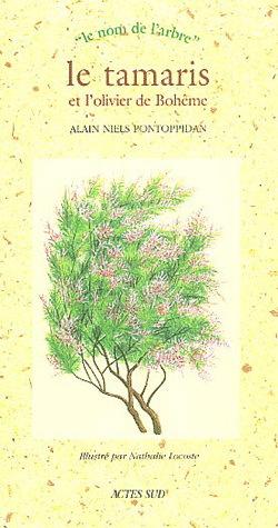 Le Tamaris et l'olivier de Bohème - ALAIN PONTOPPIDAN