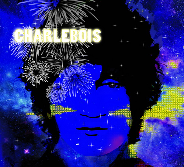 Tout est bien - version de luxe - ROBERT CHARLEBOIS