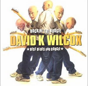 Rockin the Boogie - Best of Blues and Boogie - DAVID WILCOX