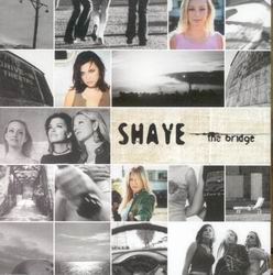 The Bridge - SHAYE