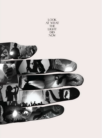 Look at what the light did now (DVD+CD) - FEIST