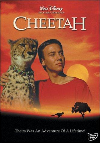 Cheetah - 