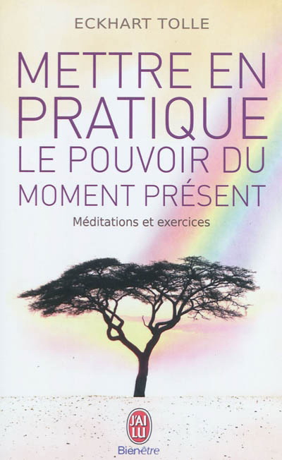 Mettre en pratique pouvoir du moment ... - ECKHART TOLLE