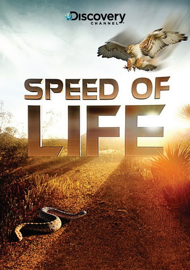 Speed of Life - 