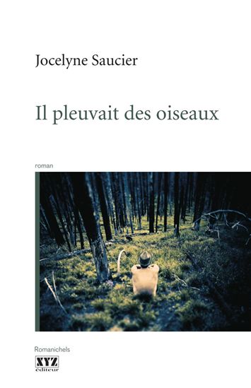 Il pleuvait des oiseaux - JOCELYNE SAUCIER