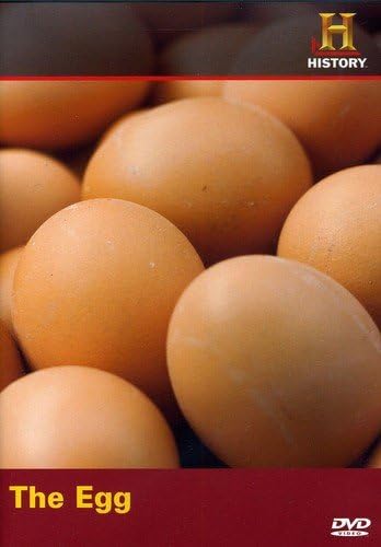 Modern Marvels Eggs - 