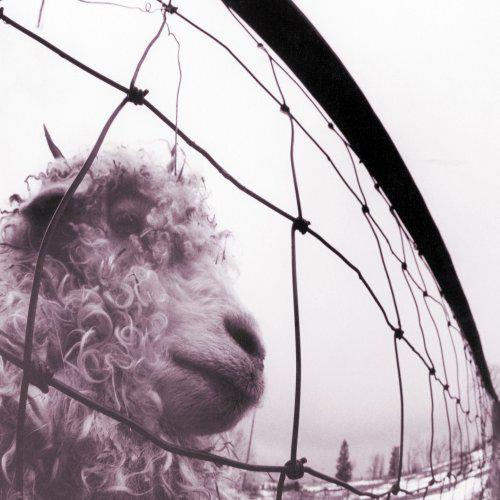 Vs. (Vinyl) - PEARL JAM