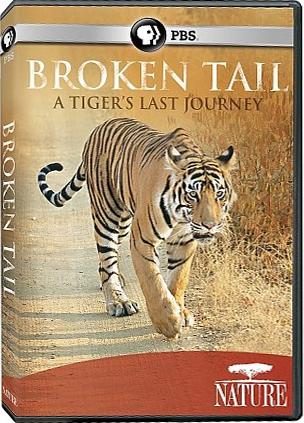 Broken Tail: A Tigers Last Journey - 