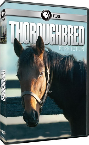 Thoroughbread: Born To Run - 