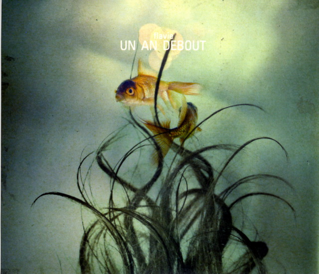 Un an debout - FLAVIE