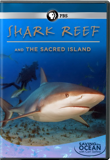 Saving The Ocean: Shark Reef & The Sacred Island - 