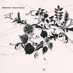 Shantel:Bucovina Club - COMPILATION