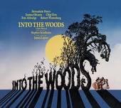 Into The Woods - COMPILATION