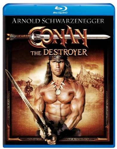 Conan the Destroyer - FLEISHER RICHARD