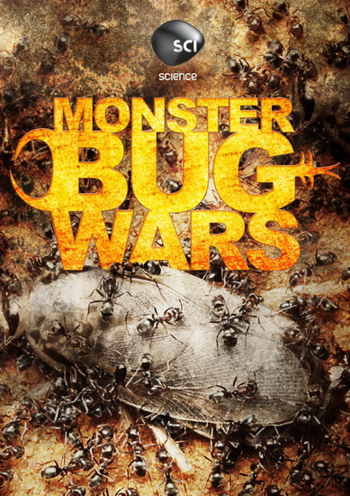 Monster Bug Wars - 
