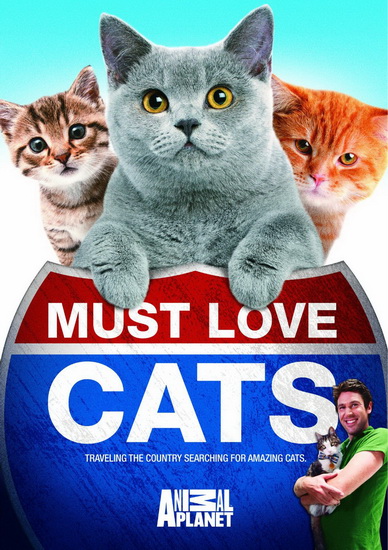 Must Love Cats - 