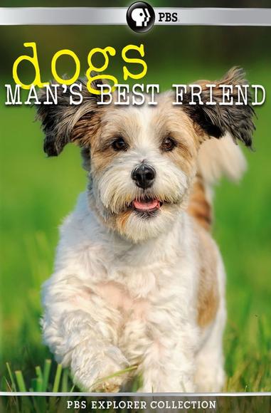 Dogs: Man's Best Friend - 