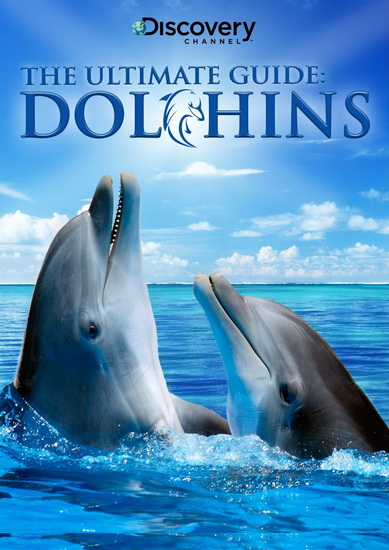 Ultimate Guide Dolphins - 