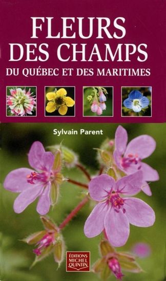 Fleurs des champs Québec/des Maritimes - SYLVAIN PARENT