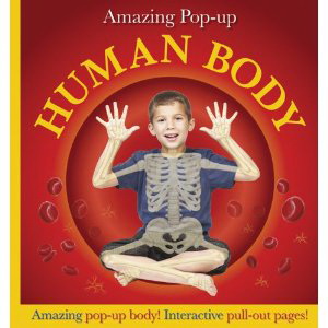 Amazing pop-up human body - COLLECTIF