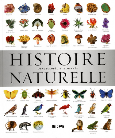 Histoire naturelle - COLLECTIF
