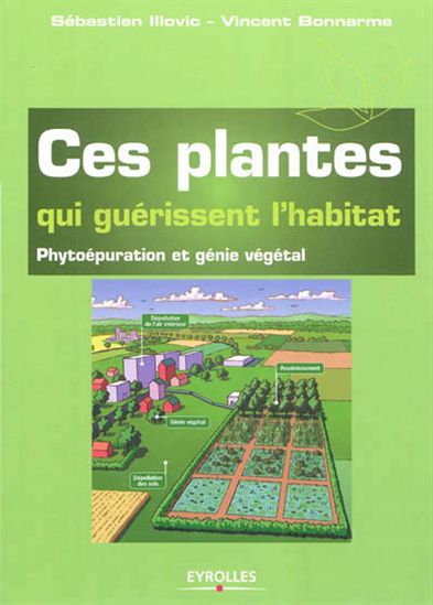Ces plantes qui guérissent l&#39;habitat - SÉBASTIEN ILLOVIC - VINCENT BONNARME